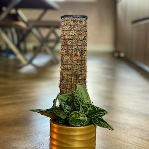 Op de afbeelding: Een plant in een pot met groene bladeren in een gouden pot. De plant groeit omhoog langs een met mos bedekte cilinder.