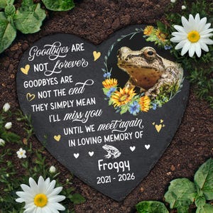 May include: A heart-shaped memorial stone with the text "Goodbyes are not forever" and "In loving memory of Froggy 2021-2026." The stone features a frog illustration surrounded by flowers. The stone is black with white text and yellow heart accents.