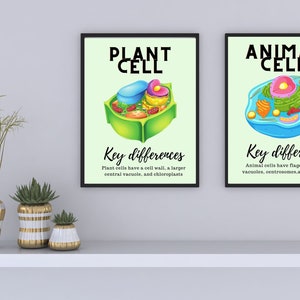Plant vs Animal Cell wall art science classroom wall decor plant and animal cell differences