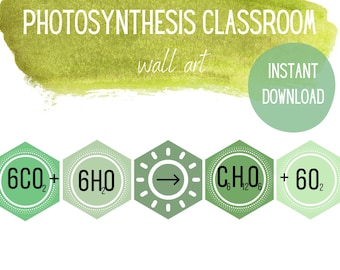 Download instantâneo de decoração de arte de parede de sala de aula de fotossíntese