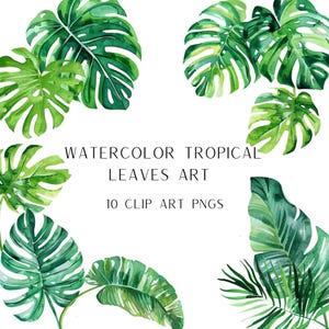 Watercolor Tropical Leaves Illustrations, Clipart Leaves, Jungle Leaves, Tropical Palm Tree, Monstera Clipart, Greenery PNG, Jungle Plants