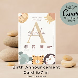 Cartão de anúncio de nascimento de estatísticas, pronto para imprimir, cartão de nascimento, anúncio de bebê, anúncio de nascimento, impressão de nascimento, estatísticas de nascimento