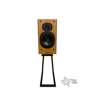 Luidsprekerbasisstandaard Stalen standaard voor luidsprekers Audio Hardware Audio Aangepaste standaards JBL Bose Harman Kardon