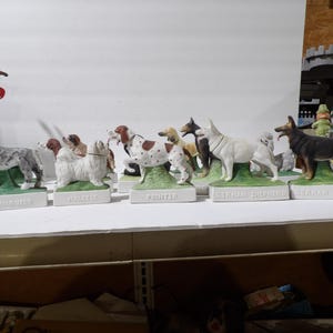 May include: A collection of ceramic dog figurines, each standing on a base with the breed name. Breeds include Schnauzer, Maltese, Pointer, and German Shepherd. The dogs are painted in various colors and poses.