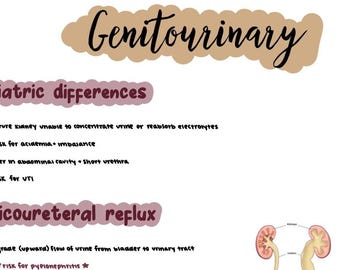 Pediatric GU