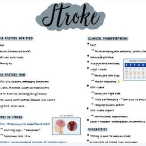 May include: A white sheet of paper with black handwritten text about stroke. The text includes risk factors, clinical manifestations, types of stroke, and diagnostics. The image also includes a diagram of the brain.