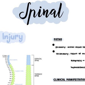 Neuromuscular