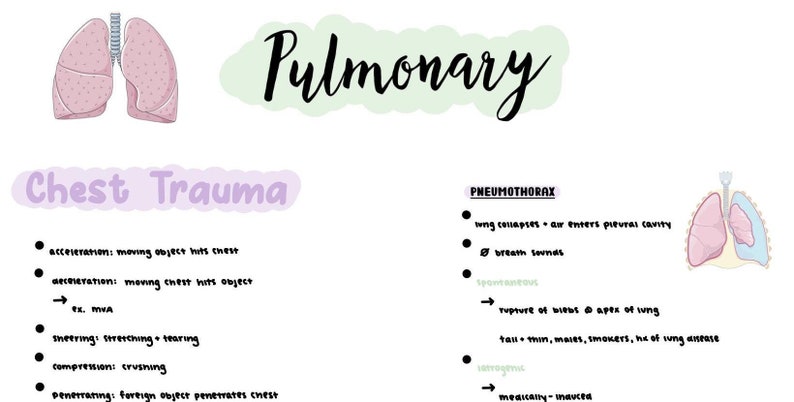 Accelaration Injries Pulmonary (part 2) - Etsy