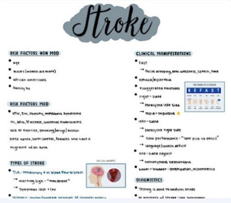 May include: A white sheet of paper with black handwritten text about stroke. The text includes risk factors, clinical manifestations, types of stroke, and diagnostics. The image also includes a diagram of the brain.