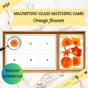 MAGNIFYING GLASS Matching Game - Orange Flowers • Printable Spring Activity for Kids • Toddlers and Preschoolers • Montessori Inspired