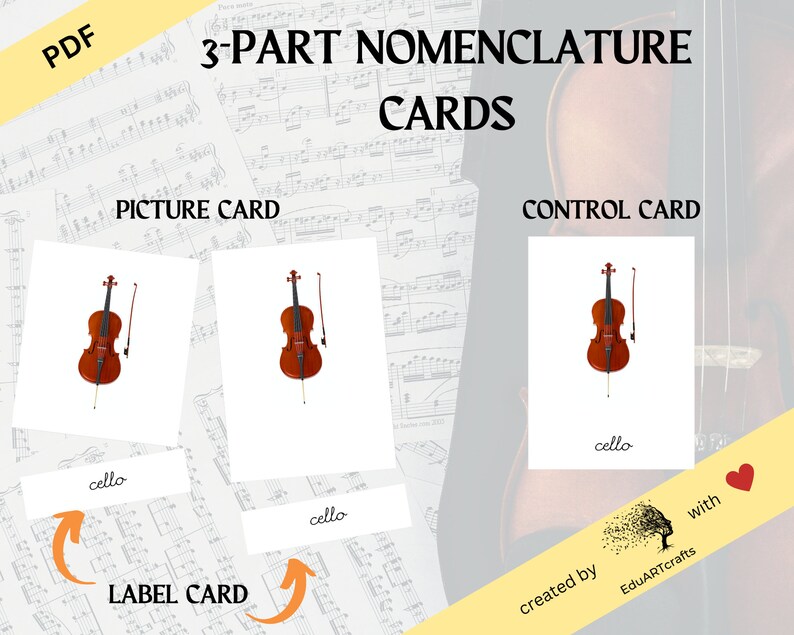 BOWED STRING INSTRUMENTS | Nomenclature / 3-part Cards • Printable ...
