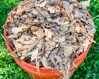 5 Gallons Of Shredded Leaves 100% Organic Oak Heat Treated Bioactive Hardwood Leaf Litter Pet Reptile Frog Isopods Snake Vivarium Terrarium