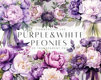 Pacchetto di 20 clipart di peonie viola e bianche, peonie ad acquerello in formato PNG, clipart floreali per matrimoni, download digitale
