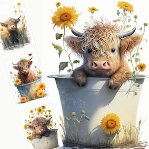 Highland cow with sunflower PNG, Summer Watercolor Clipart, Cute Baby Shower Graphics, Nursery Decor Wall Art, Clipart, Farm Animal PNG