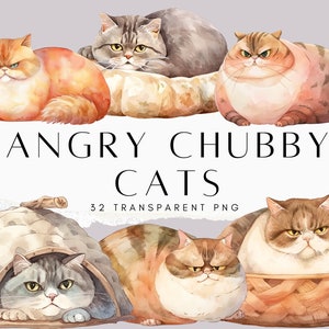 Puede incluir: Una ilustración digital de ocho gatos pintados con acuarela con expresiones gruñonas. Los gatos son de varios colores, incluyendo naranja, gris y marrón. El texto "Angry Chubby Cats" y "32 Transparent PNG" está en la parte inferior de la imagen.