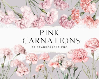 Pacchetto di clipart di garofani rosa, fiore di garofano ad acquerello PNG, clipart floreali per matrimoni, fiori primaverili, download digitale per uso commerciale