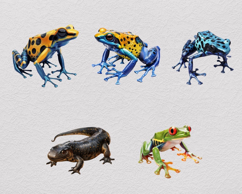 Amphibian Clipart PNG Bundle, Transparent Clip Art for Kids Activity ...