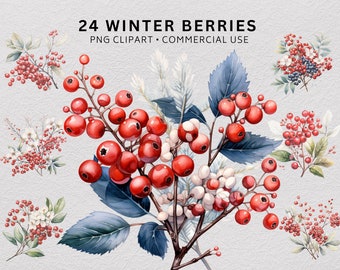 May include: A digital collection of 24 winter berries PNG clipart for commercial use. The image features various botanical illustrations of red berries, white berries, and dark blue-green leaves arranged in clusters on a textured light background.
