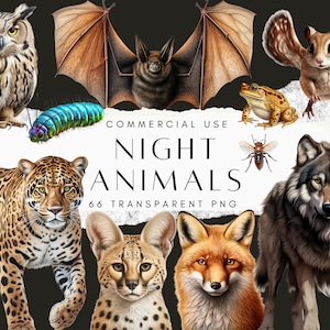 66 Night Animals Clipart PNG Bundle, Transparent Clip Art for Kids Activity, Animal Sticker, Owl, Jaguar, Bat, Raccoon, Firefly, Nightingale