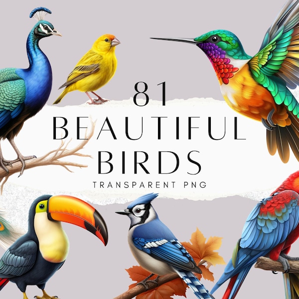 81 Beautiful Bird Clipart PNG Bundle, Watercolour Birds Peacock Hummingbird Toucan, Kids Activity Transparent Background, Digital Download