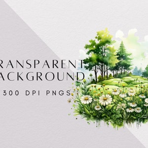 Pu&ograve; includere: Dipinto ad acquerello di una foresta verde con un campo di margherite bianche in primo piano. Lo sfondo &egrave; un morbido acquerello blu e verde. Il testo "TRANSPARENT BACKGROUND 300 DPI PNGS" &egrave; in basso nell'immagine.