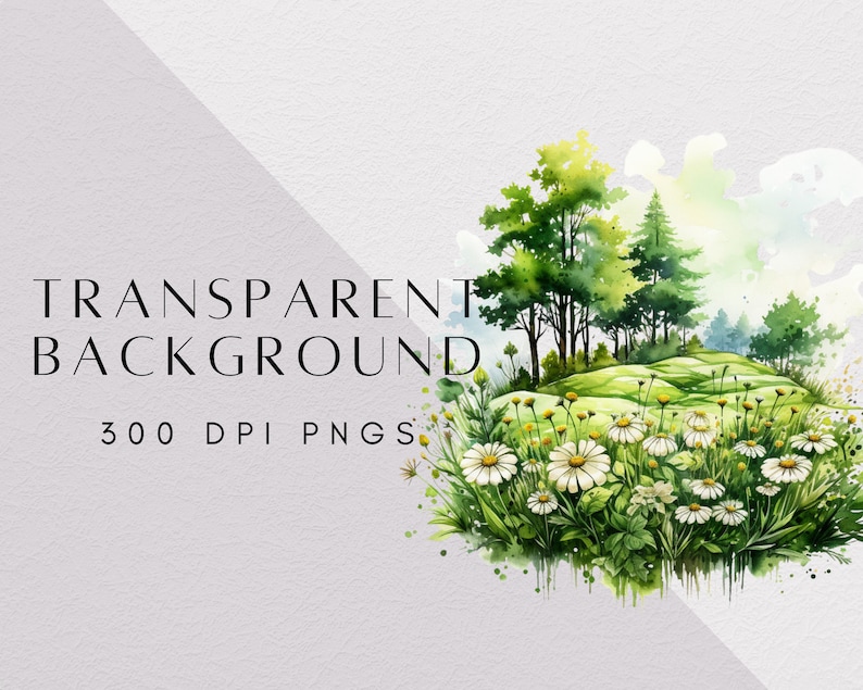 Pu&ograve; includere: Dipinto ad acquerello di una foresta verde con un campo di margherite bianche in primo piano. Lo sfondo &egrave; un morbido acquerello blu e verde. Il testo "TRANSPARENT BACKGROUND 300 DPI PNGS" &egrave; in basso nell'immagine.