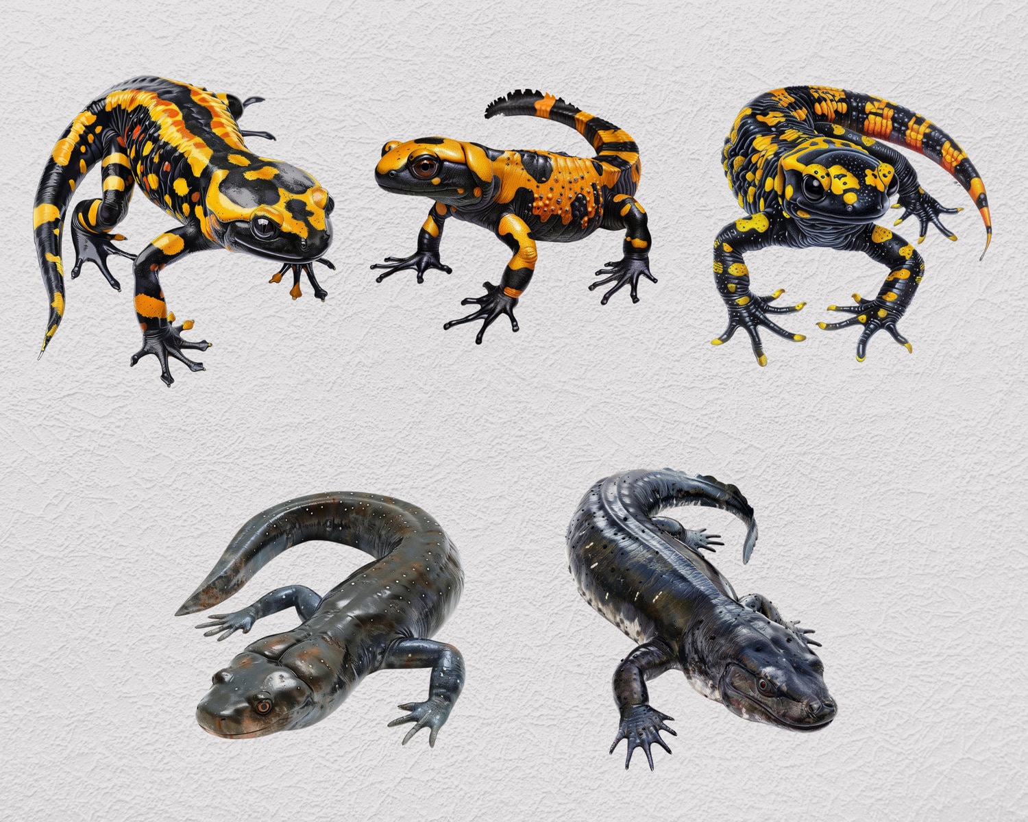 Amphibian Clipart PNG Bundle, Transparent Clip Art for Kids Activity ...