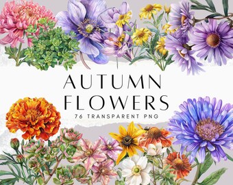 76 Sunflower Clipart Bundle, Fall Clipart PNG, Watercolour Autumn Botanical Flower Leaves, Digital Download