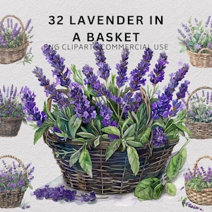 Lavanda en cesta Clipart, Lavanda en una cesta PNG, Vivero acuarela Clipart, Descarga digital, Uso comercial por ChromaChaos