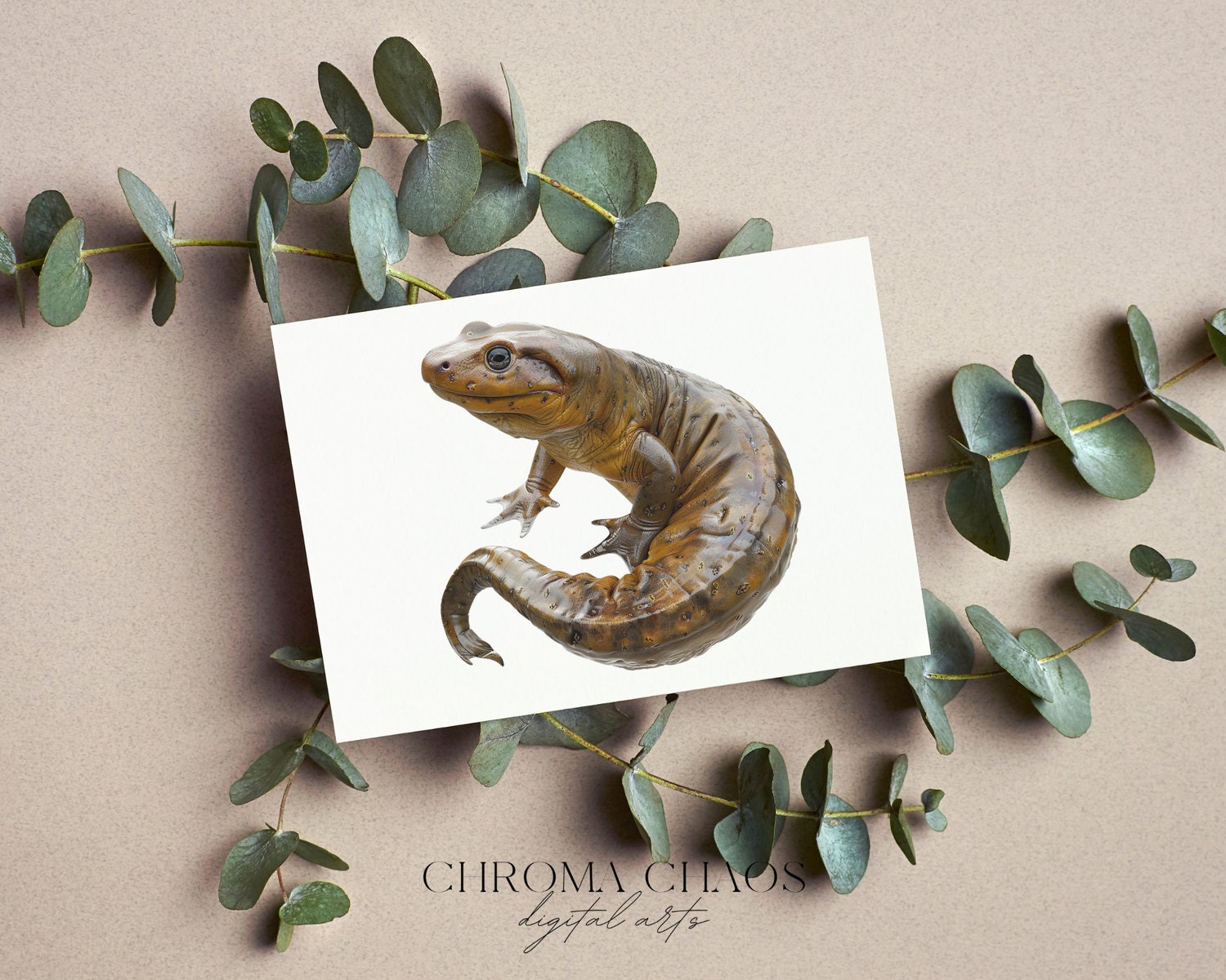 Amphibian Clipart PNG Bundle, Transparent Clip Art for Kids Activity ...