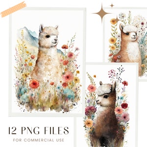 Cute Alpaca PNG, Watercolor Clipart, Transparent PNG, Goodnotes Sticker, Baby Shower PNG, Nursery Decor Wall Art, Clipart, Farm Animal Png