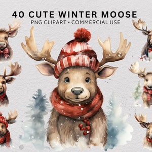 40 Cute Winter Moose Clipart, Moose Family PNG, Scarf and Beanie, Snowy Friends, Holiday Animals, Cozy Critters, Christmas Pets Clip Art PNG