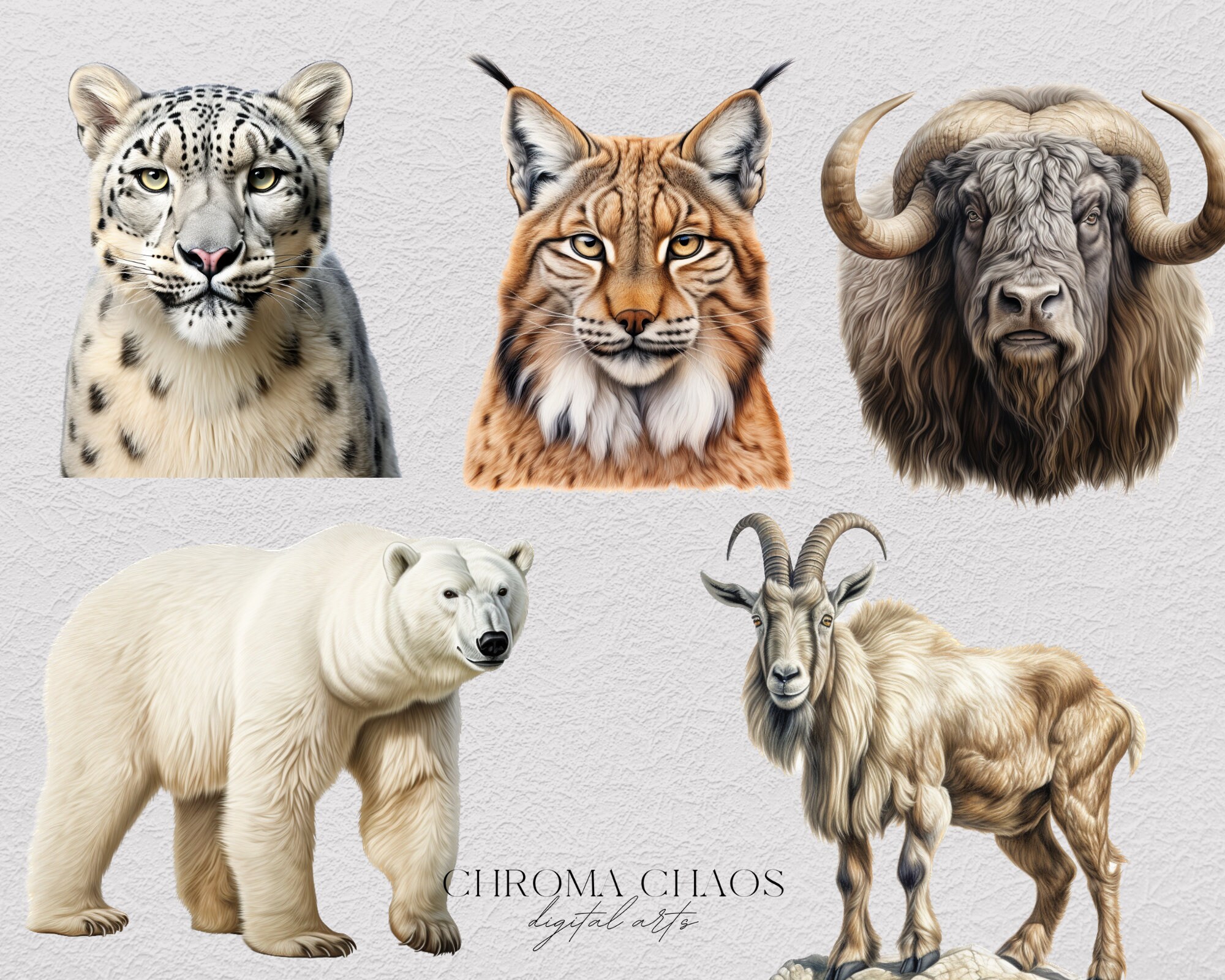 49 Snow Animals Clipart PNG Bundle, Transparent Clip Art for Kids ...