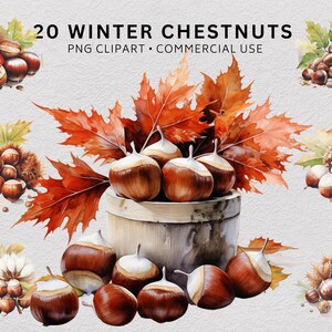 Peut inclure: Une peinture à l'aquarelle de 20 châtaignes d'hiver dans un bol en bois. Les châtaignes sont entourées de feuilles d'automne. L'image est intitulée "20 châtaignes d'hiver PNG Clipart - Utilisation commerciale".
