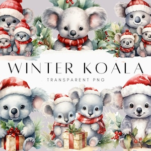 32 Winter Koala Clipart, Koala Family PNG, Scarf and Beanie, Snowy Friends, Holiday Animals, Cozy Critters, Christmas Pets Clip Art PNG