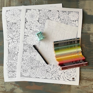 May include: Two white sheets of paper with black and white line art of succulents, a color chart grid, a black pen, a light blue pencil sharpener, and a stack of colored pencils in shades of green, yellow, orange, pink, and brown.