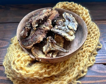 Dried Dyer's Polypore Mushroom (Phaeolus schweinitzii) by the dried ounce for natural fiber dying