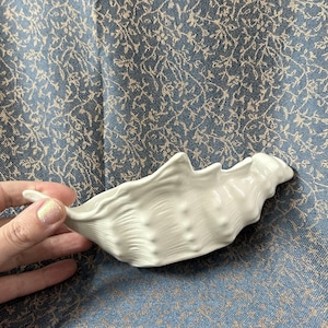 May include: White ceramic seashell dish. The dish is shaped like a seashell and has a textured surface.