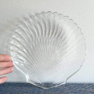 May include: A clear glass serving dish shaped like a seashell. The dish has a textured surface that resembles the ridges of a seashell.