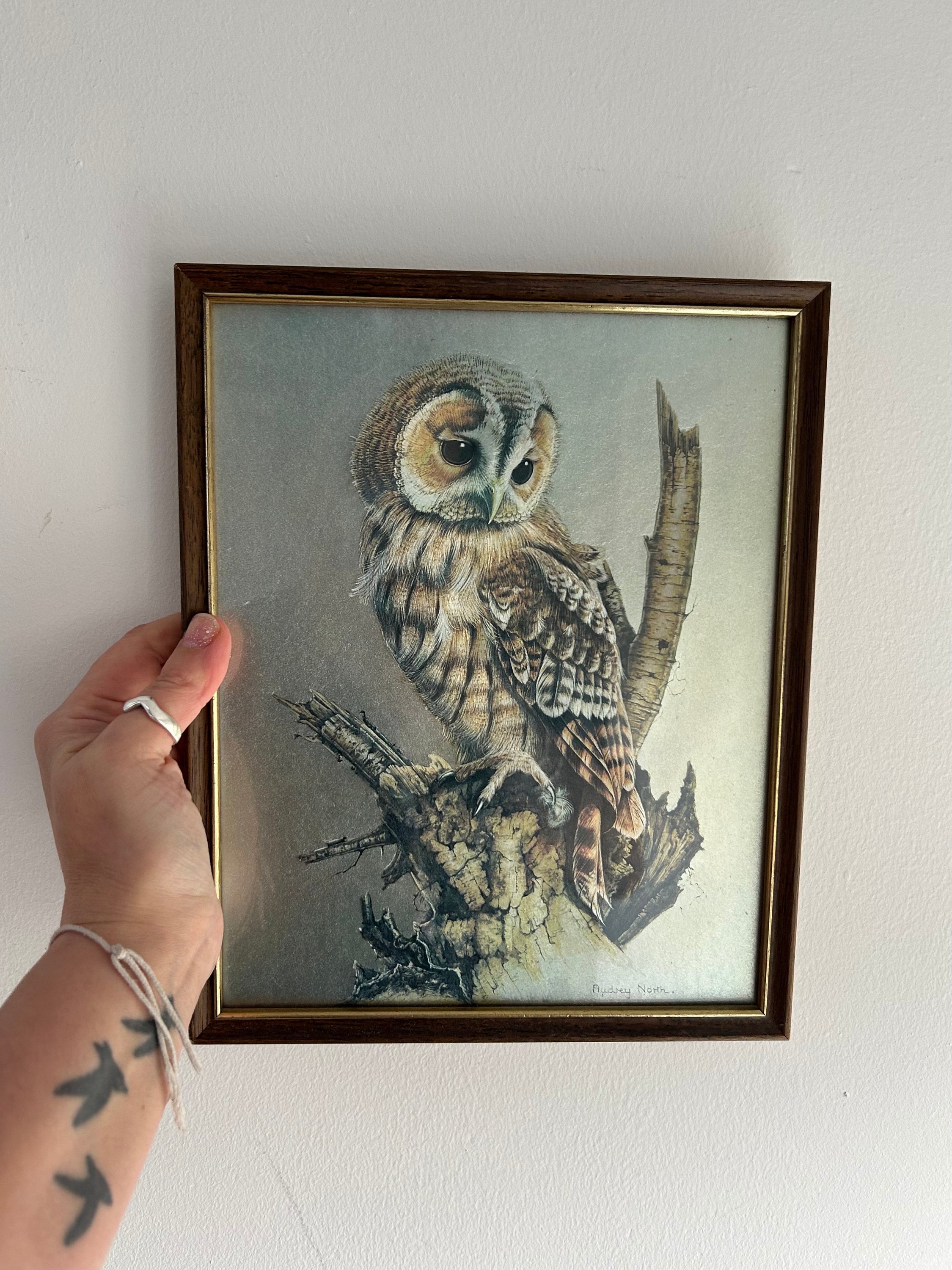 Vintage Framed Metallic Owl Print by Audrey North - Retro Dufex