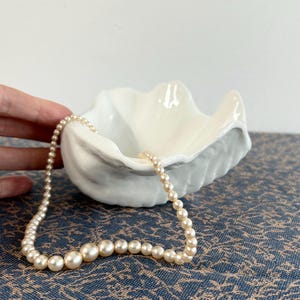 May include: A white ceramic seashell dish with a pearl necklace resting inside. The dish is shaped like a clam shell and has a smooth, glossy finish.