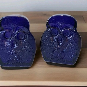 Puede incluir: Dos figuras de búho de cristal azul cobalto. Cada búho tiene ojos grandes y redondos y una superficie texturizada. Los búhos están sobre una superficie de madera. Las figuras son un objeto decorativo.