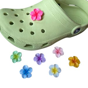 May include: A light green clog shoe with a textured surface and ventilation holes, featuring a bright pink plumeria flower charm attached to the side. Six additional loose plumeria flower charms in various colors are arranged below the shoe.