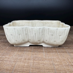 May include: A rectangular, off-white ceramic planter with a scalloped rim and a textured surface. The planter has a three-lobed base and is suitable for indoor or outdoor use. The background is dark.