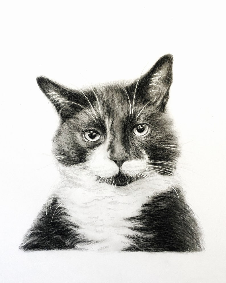 Custom Cat Portrait Etsy