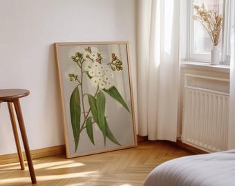 Australische eucalyptusprint: inheemse bloemenbotanische kunst (digitale download)