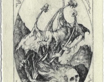 Fine Art Print of Ink Drawing 'Witch Skull'