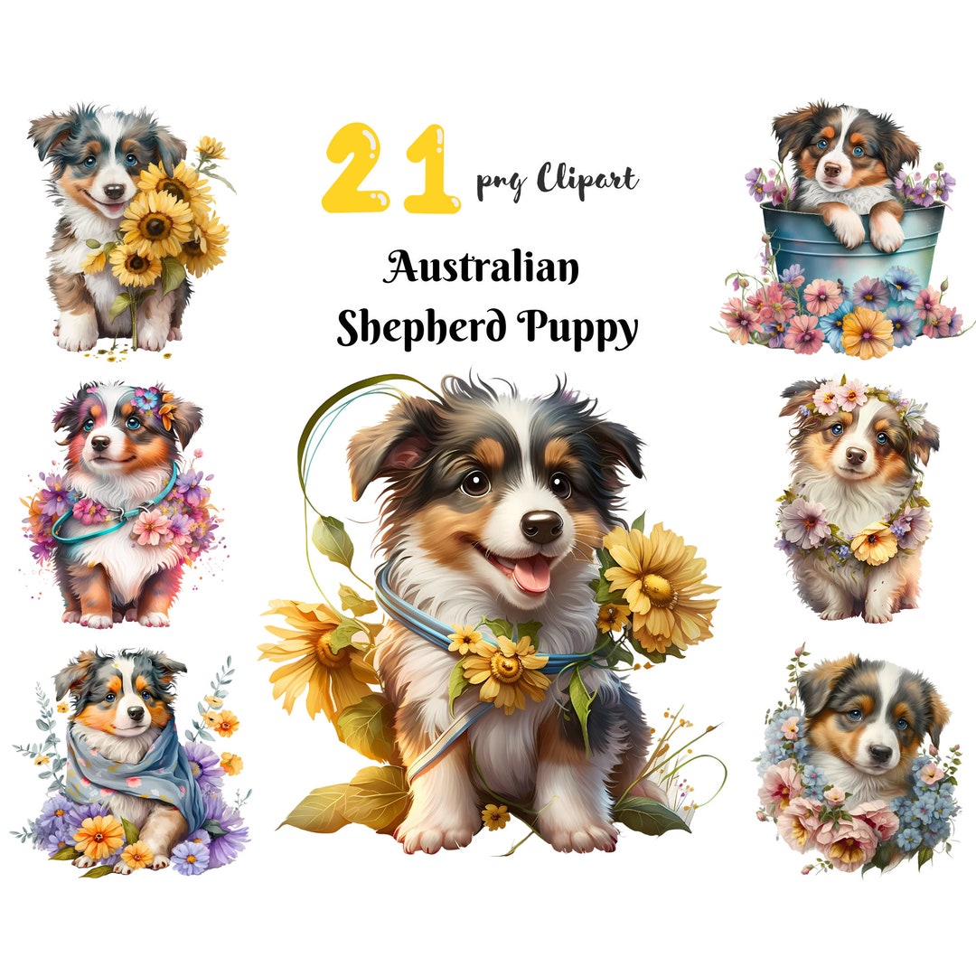 Australian Shepherd Puppy PNG Clipart Cute Dog Digital Illustration ...