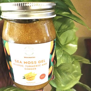 Mango Ginger Turmeric Sea Moss Gel: Wildcrafted Vegan Superfood