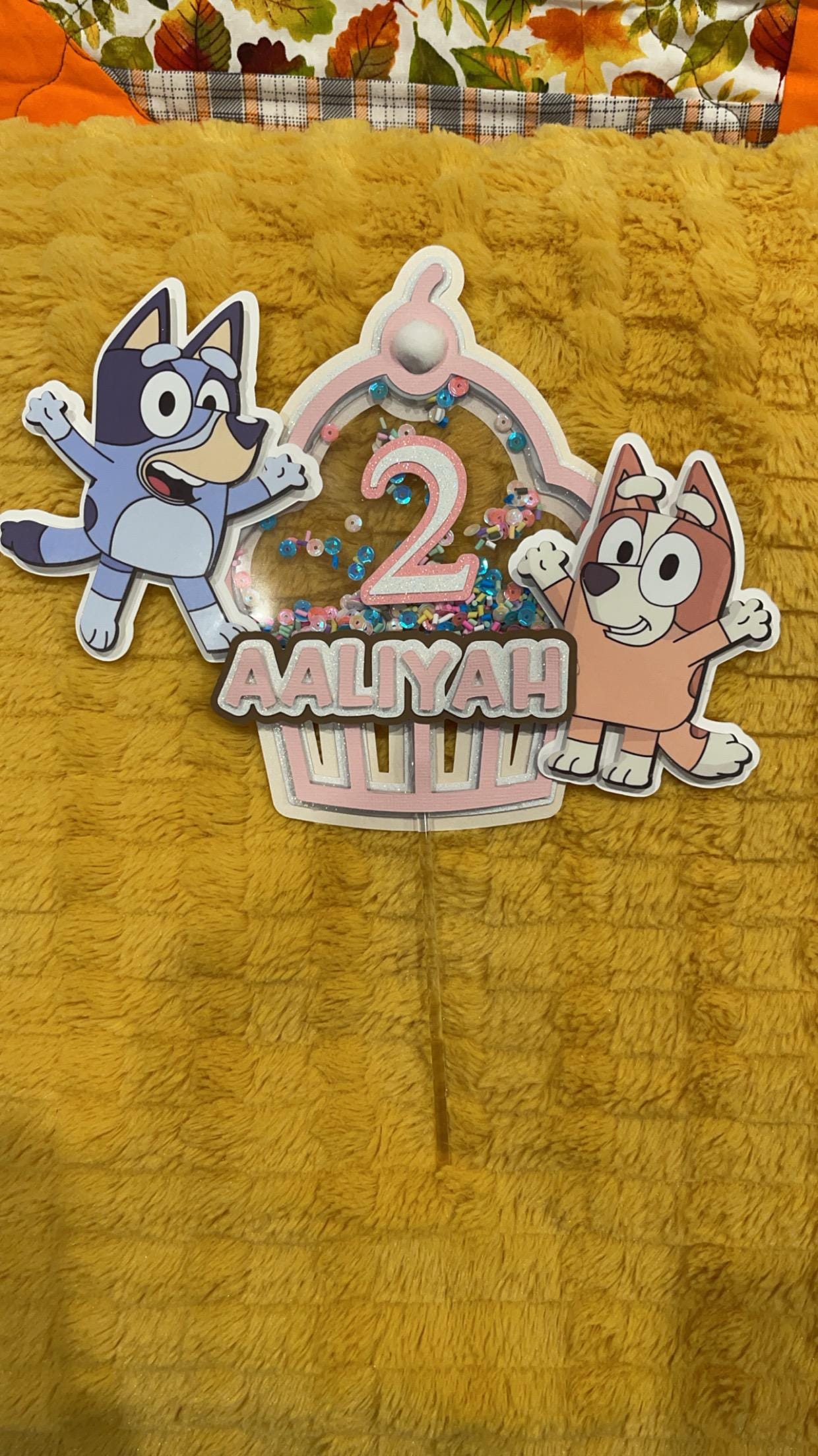 Bluey Shaker Cake Topper